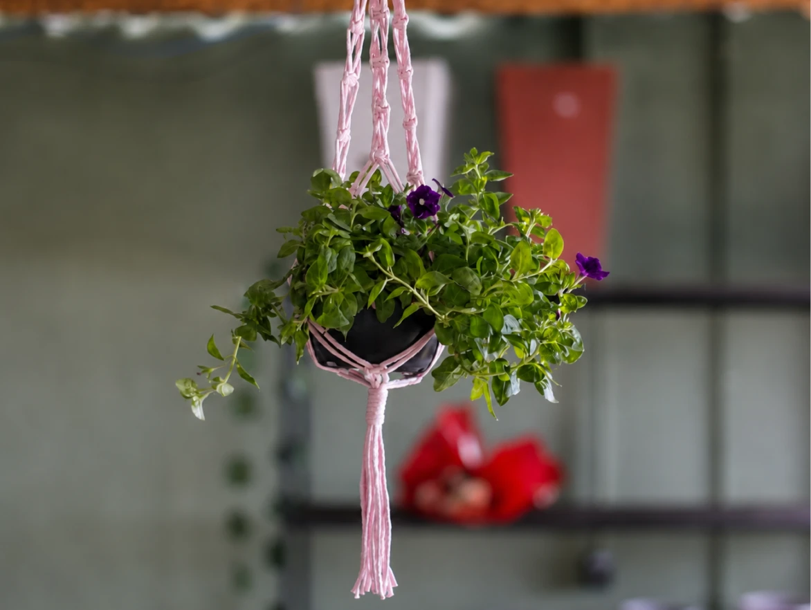 suporte_planta (1)