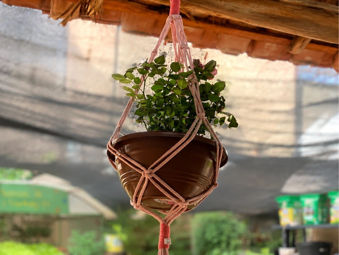suporte_planta (2)
