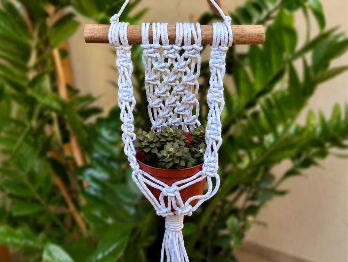 suporte_planta